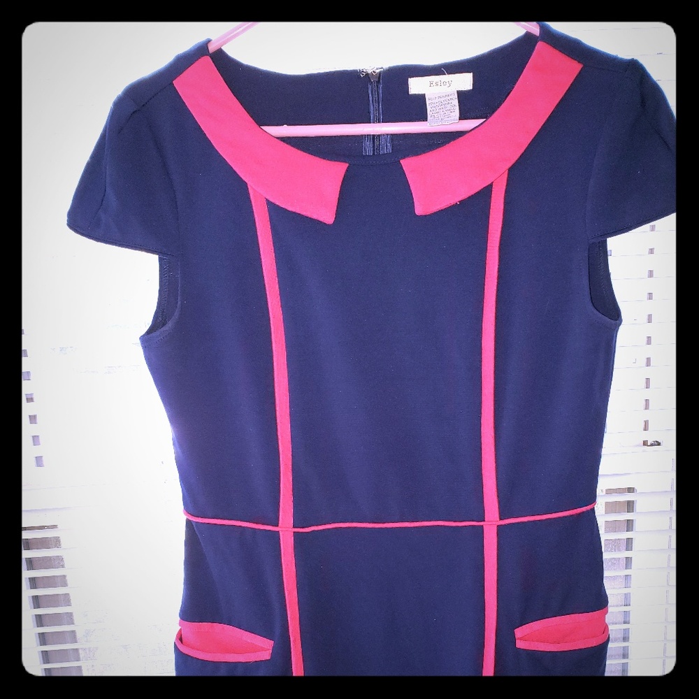 Esley Navy and Pink color-block sheath dress
